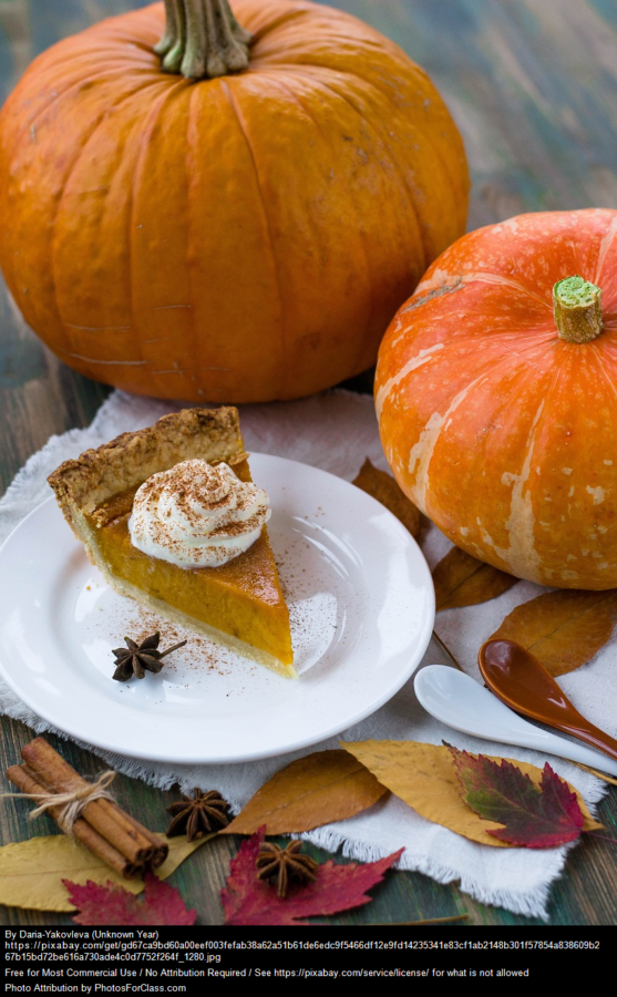 I got this image at https://www.photosforclass.com/search/pumpkin-pie.