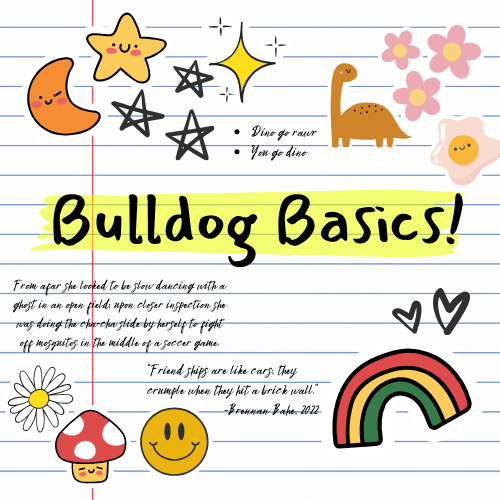 Bulldog Basics
