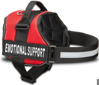Red Ribbon Week and Emotional Support Dogs