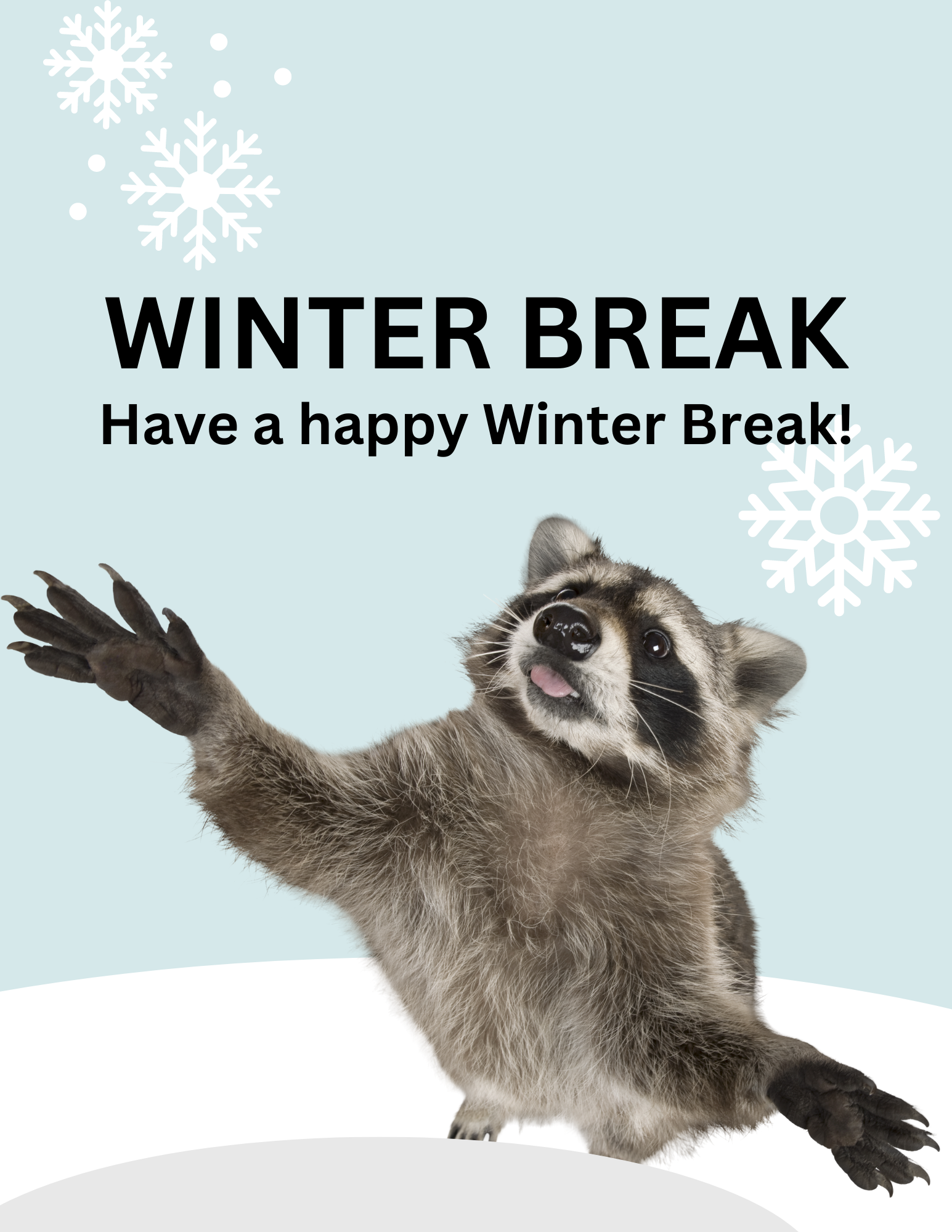 It's winter break! Happy holidays!